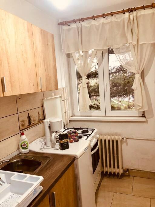 טימישוארה Nice Apt Near Spitalul Judetean, All You Need Lr14 מראה חיצוני תמונה