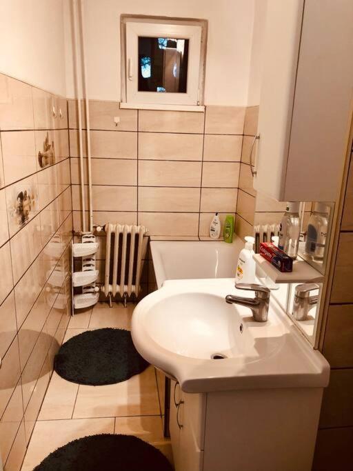 טימישוארה Nice Apt Near Spitalul Judetean, All You Need Lr14 מראה חיצוני תמונה