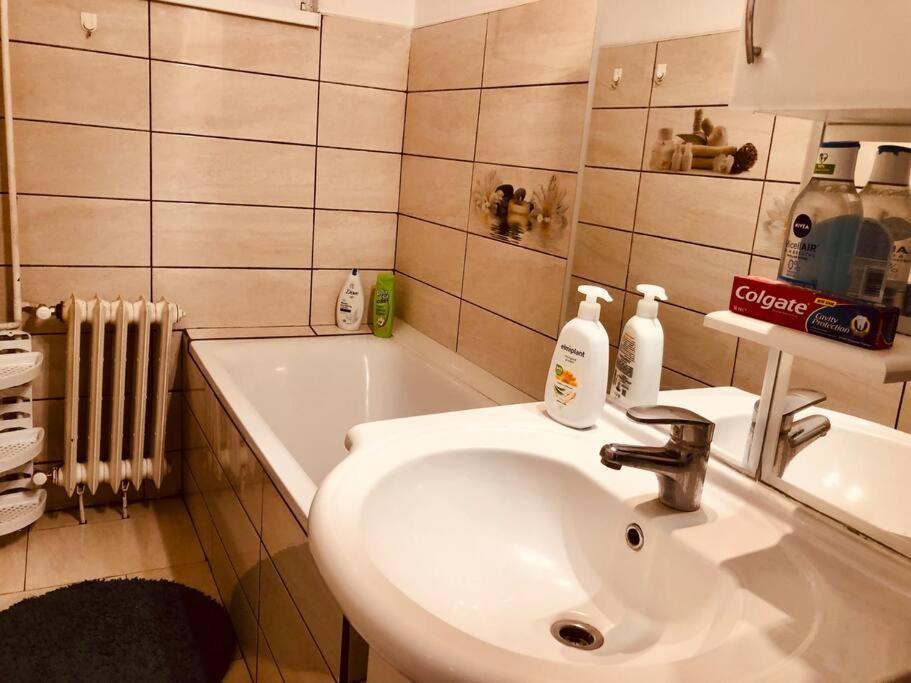 טימישוארה Nice Apt Near Spitalul Judetean, All You Need Lr14 מראה חיצוני תמונה
