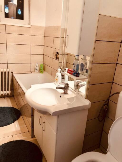 טימישוארה Nice Apt Near Spitalul Judetean, All You Need Lr14 מראה חיצוני תמונה