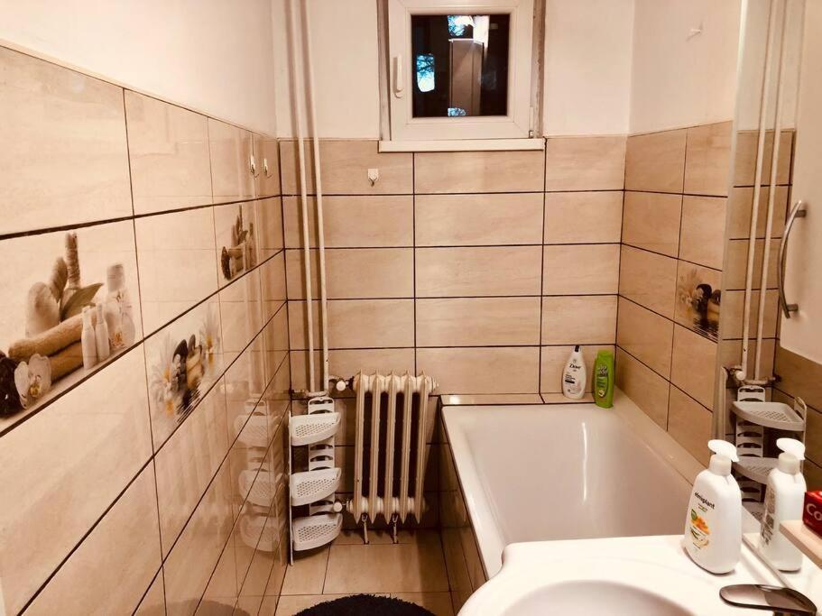 טימישוארה Nice Apt Near Spitalul Judetean, All You Need Lr14 מראה חיצוני תמונה