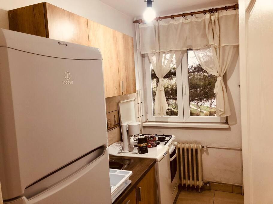 טימישוארה Nice Apt Near Spitalul Judetean, All You Need Lr14 מראה חיצוני תמונה