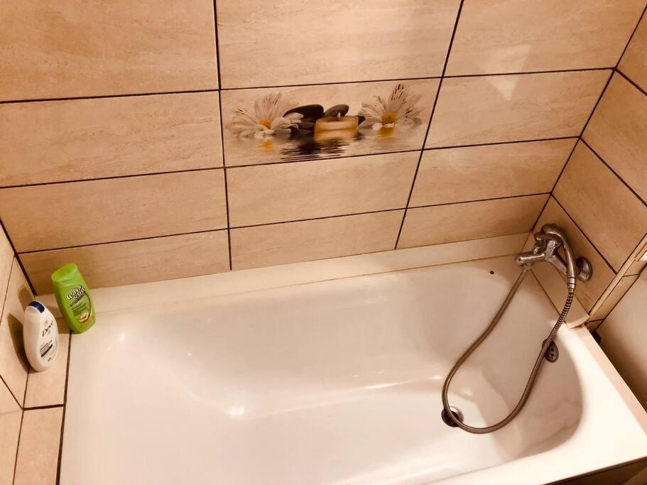 טימישוארה Nice Apt Near Spitalul Judetean, All You Need Lr14 מראה חיצוני תמונה